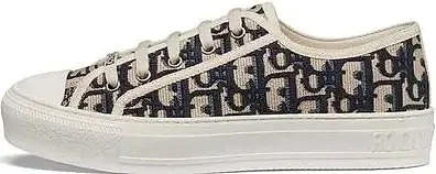 Dior Platform Trainers