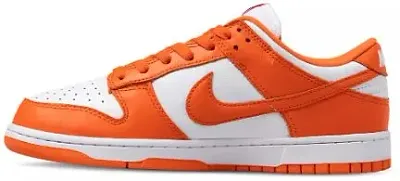 Dunk Syracuse Shoes