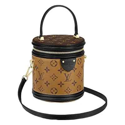 Louis Vuitton Cannes Bag