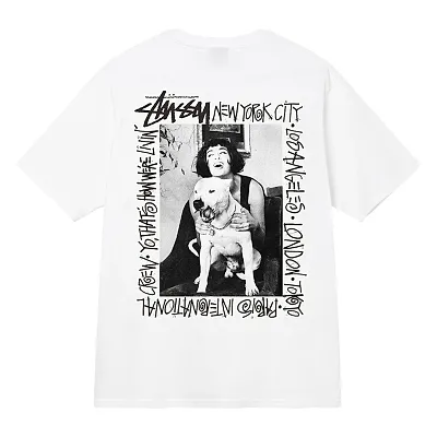 Stussy tee(100 colorways)